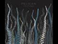 Pelican - A Delicate Sense of Balance
