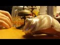 Dernière minute - Eric Julliard