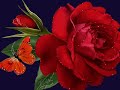 rusen y?lmaz damar_arabesk_ru?en y?lmaz_dert ?arab? rusen y?lmaz damar_arabesk_ru?en y?lmaz_dert ?arab?
