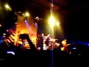 nonpalidece roots time festival