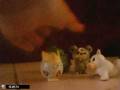 Pokemon adventures episode 8 part 2