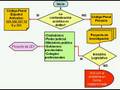 Diagrama de flujo para combatir la contaminación acústica