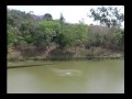 GALERA DE A&Ccedil;AIL&Acirc;NDIA NA TIRULIPA