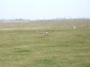 takeoff- flight-landing 17-march-2007