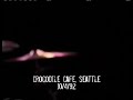 Video screenshot