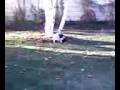 videos de running near kit..3g2