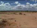 Earth Report - In the Shadow of Kilimanjaro