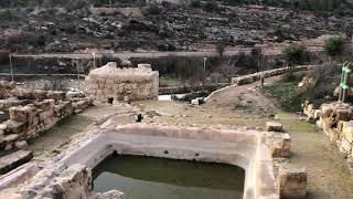  | موسوعة التراث الفلسطيني