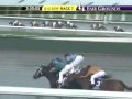 FAIR GROUNDS, 2009-12-12, Race 7