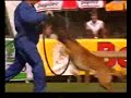 Dances with Malinois by Jurgen Rixen