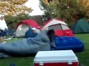 Sleeping bag Races 7