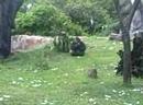 Aug 02 1940 - VID00014