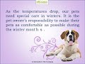 Pet Health Care