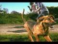 Pull Tiger Tail -- Official Hurricanes Video