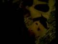 videos de Starsky
