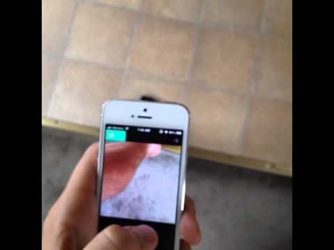 how to use xray on vine