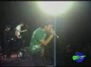 Banda Tr�mmit no Piripiri Pop 2006