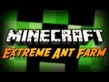 Extreme Ant Farm Survival - Ep. 5 - TNT TRAP!