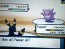 JackDra vs Rob