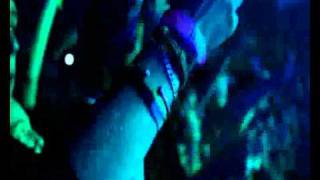 Festival Artists Videos
