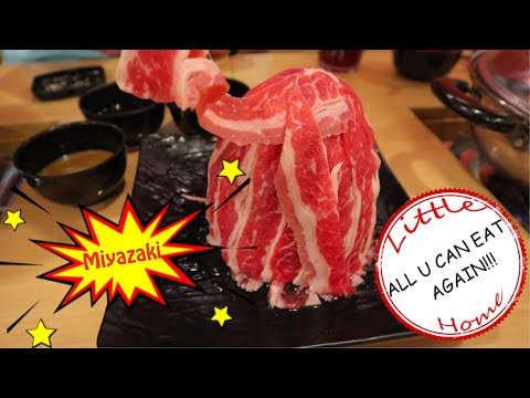 Miyazaki Japanese Grill | Makan tanpa koki handal... Apa Jadinya?? | All U Can Eat AGAIN!!!