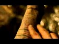 Evanesance- You (The Fountain Video Remix)