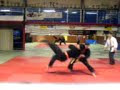 demo ju jitsu sandrini nesca bovino