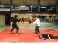 demo ju jitsu sandrini nesca bovino
