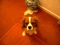 walkies! walkies!