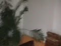Appartement 75018