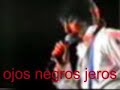 flamenko jeros (ojos negros)