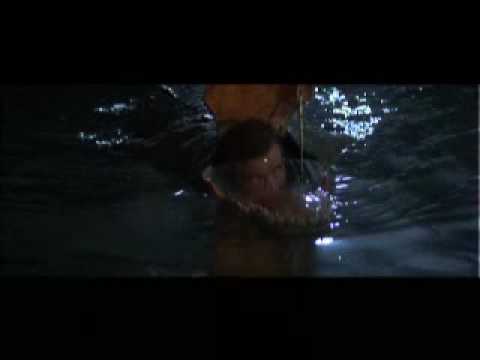 Video screenshot