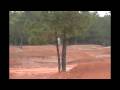 County Line MX + Zach Bell's Track (At His House) MOTOCROSS