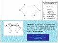 trigonometría fácil - Thumb #1