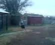 The crazy guy