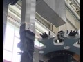 Ver Video