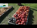 Wandern im Chiemgau "Zur Weinbergaussicht" HD