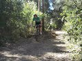 The Forster Bike Jumps 2