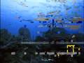 videos de Jewels of Caribbean
