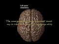 doodling: language, gesture, and cognition