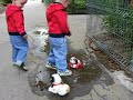 Doi gemeni si doi catelusi de jucarie
