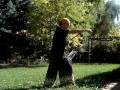videos de polyrythm butterfly