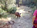 Ver Vídeo Ver Vídeo