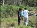 Elephant Filming