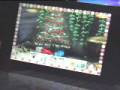 videos de Freshwater Aquarium iphone 1.05 play movie