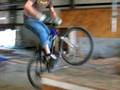 videos de Bunny Hop