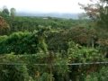 part 1: Costa Rican Orphanage Christmas \ part 1: Costa Rican Orphanage Christmas \