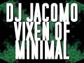 DJ JACOMO JAKUB WOJCIECHOWSKI VIXEN OF MINIMAL.wmv