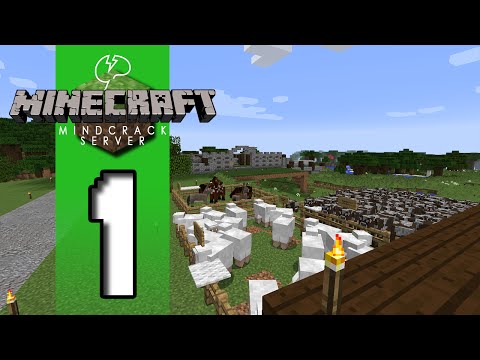 how to go minecraft servers