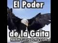 virtud - El poder de la gaita